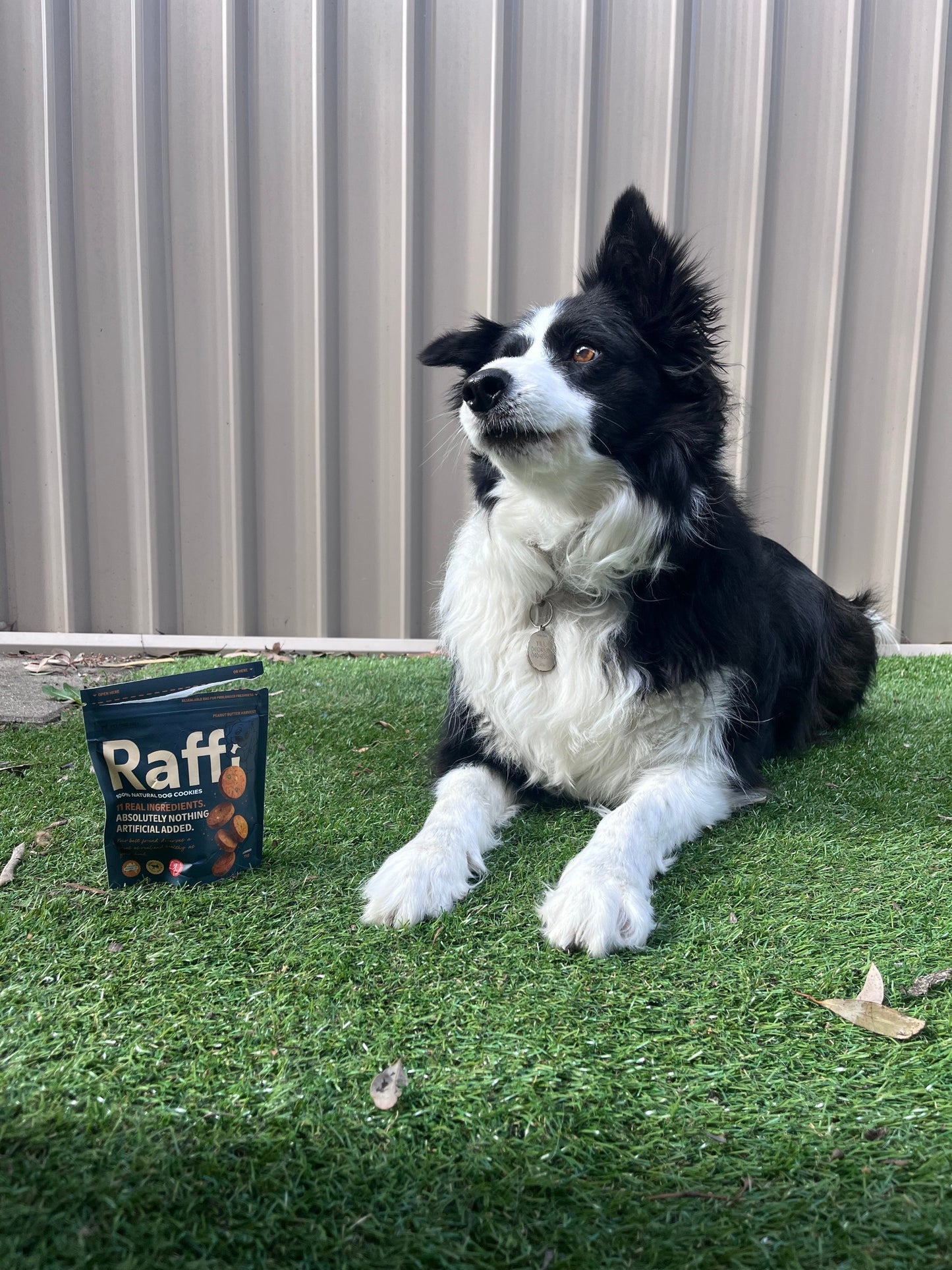 Raffi Bites (Mini Cookies 50g) PRE LAUNCH SPECIAL