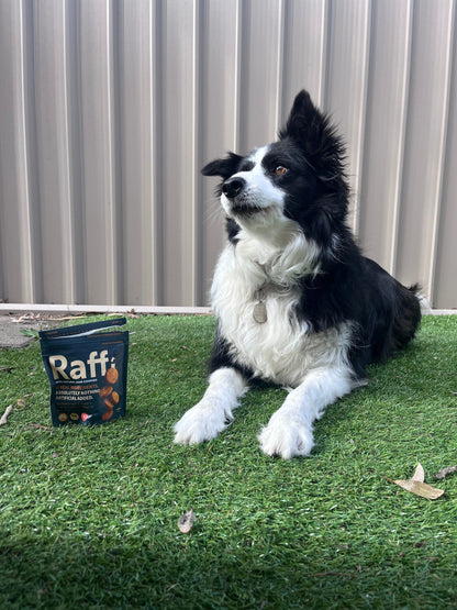 Raffi Bites (Mini Cookies 50g) PRE LAUNCH SPECIAL