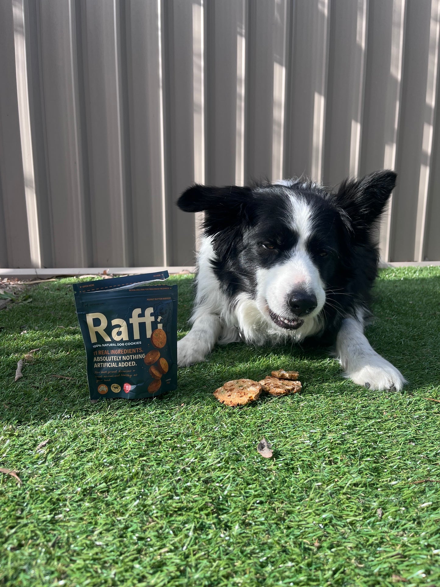 Raffi Cookies (6 cookie pack) PRE LAUNCH SPECIAL